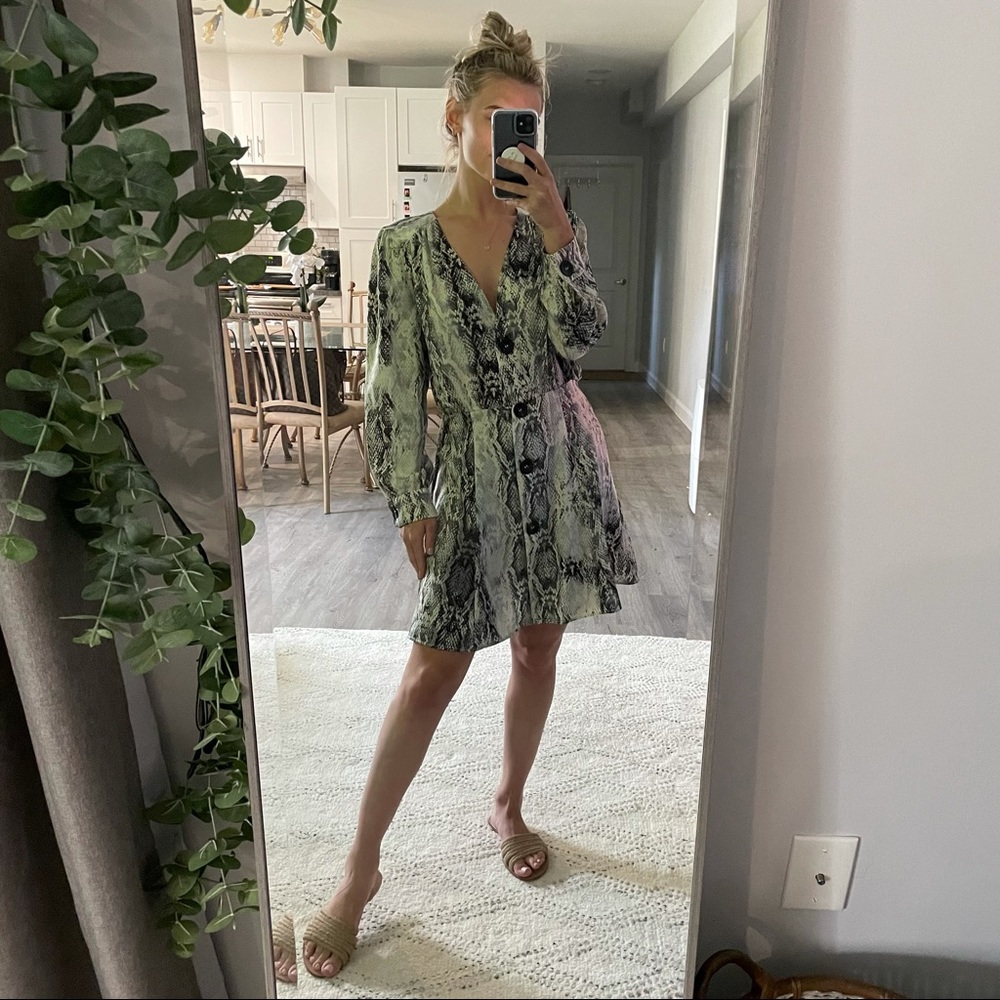 Zara Button Up Snake Print Dress
